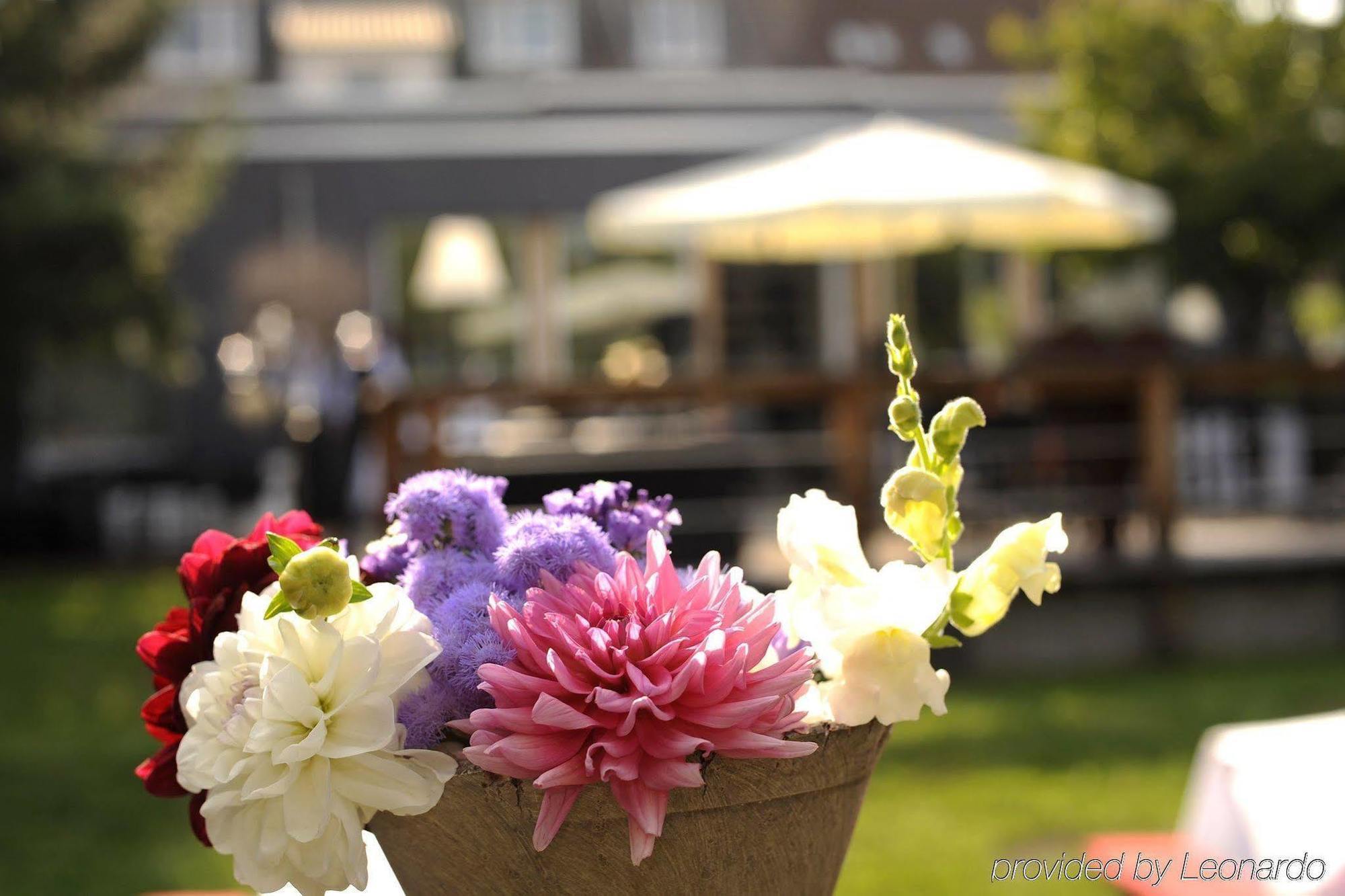 Boutique Hotel Viva Creativo Ганновер Экстерьер фото